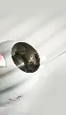 旋钮壶(1)_04.webp