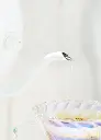 旋钮壶(1)_16.webp