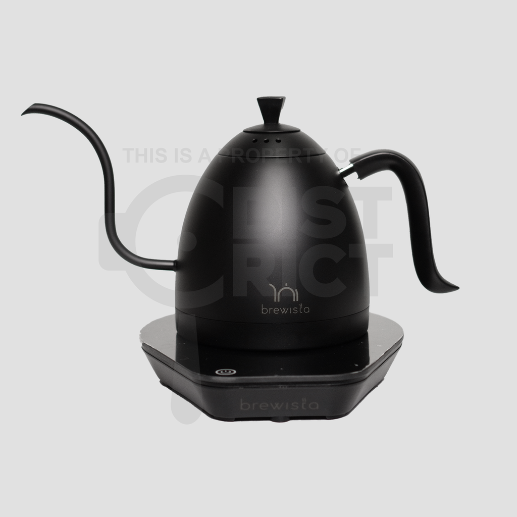 Brewista Variable Gooseneck Kettle